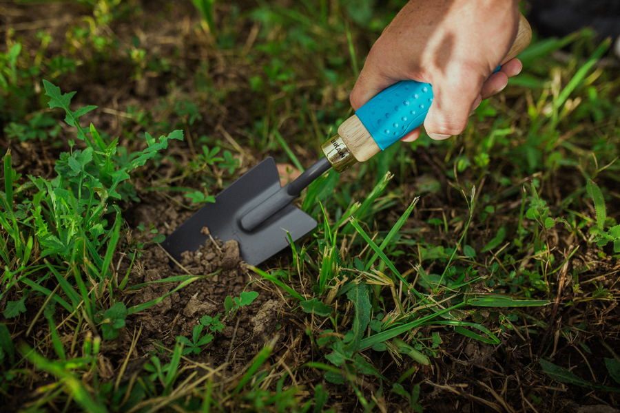 Transplantador con mango madera engomado 82R