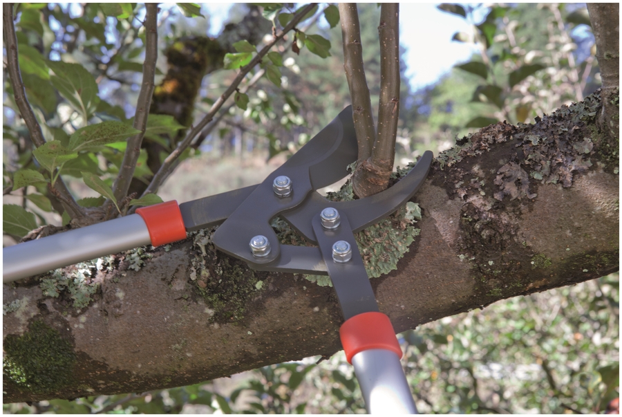 Tijera Altuna de poda J444