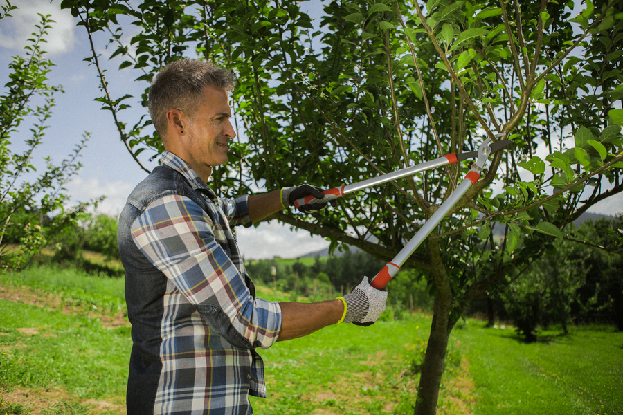 Tijera Altuna de poda J445