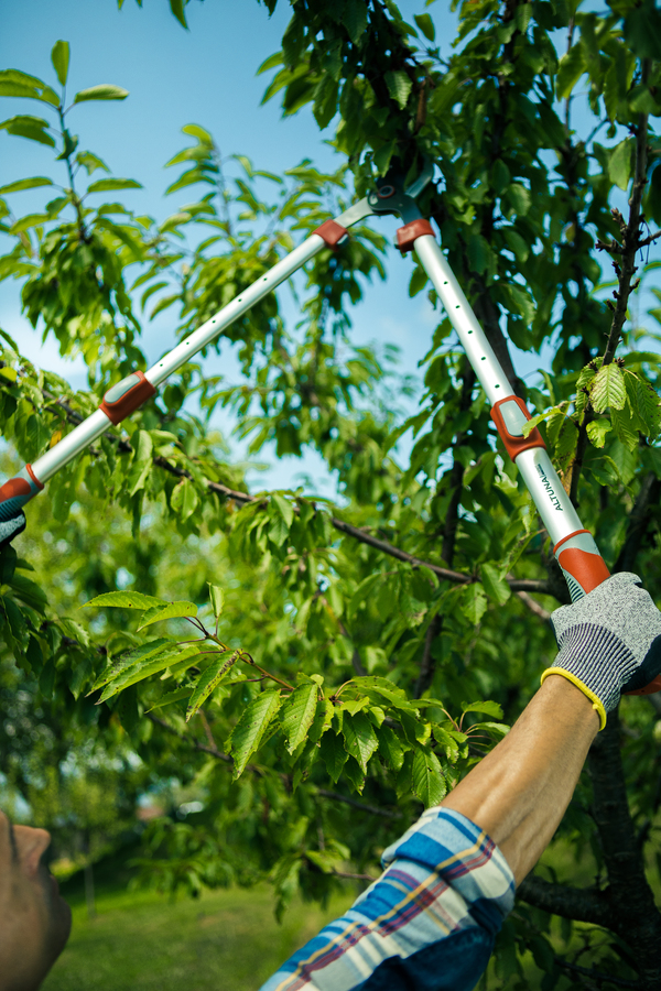 Tijera 2 manos jardín telescópica 65-89cm J446