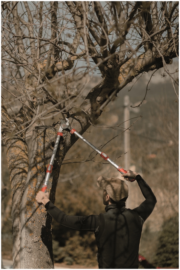 Tijera 2 manos jardín telescópica 65-89cm J446