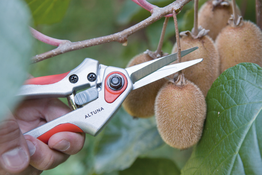 Tijera Altuna de poda J440