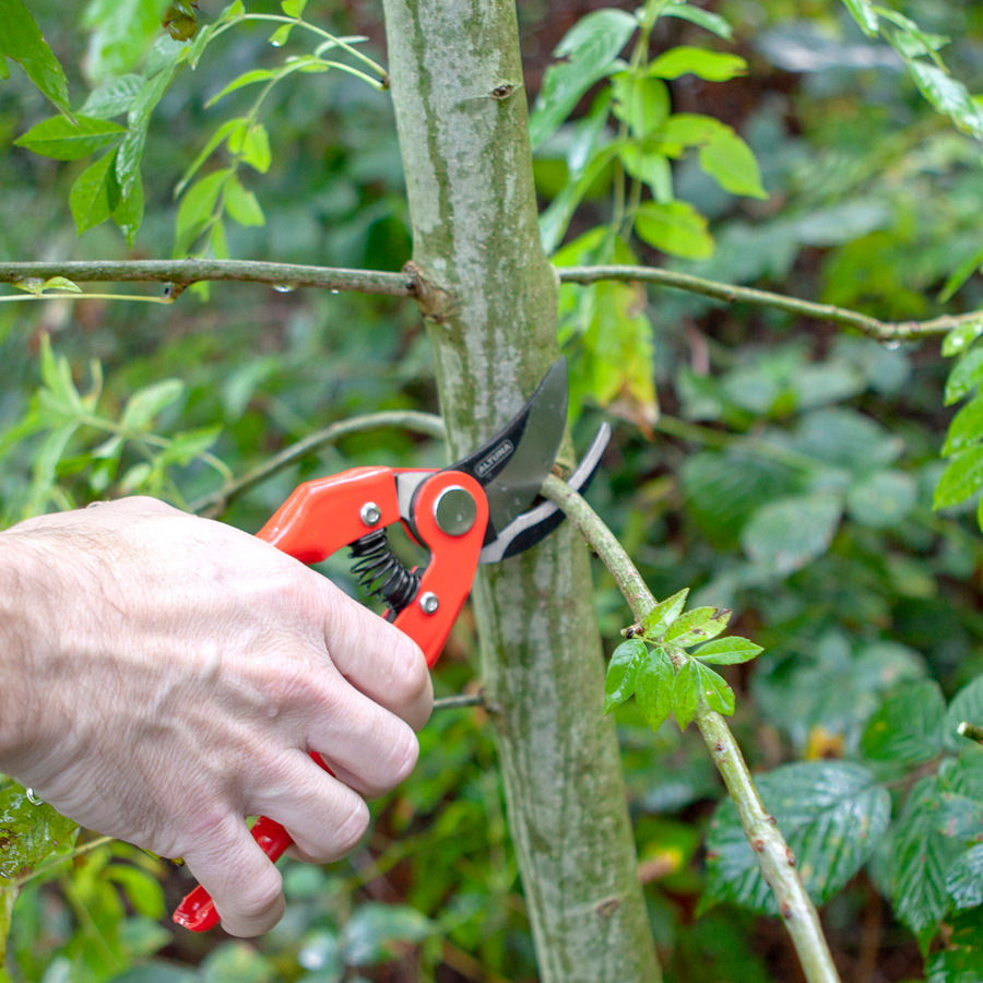Tijera 1 mano 19 cm mangos de acero estampado J469-19
