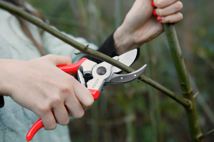 Tijera 1 mano 22 cm mangos de acero estampado J469-22