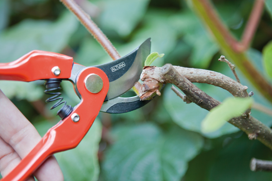 Tijera 1 mano 22 cm mangos de acero estampado J469-22