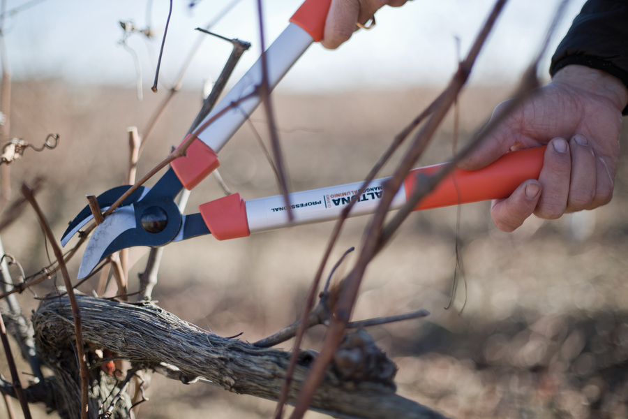 Tijera de poda 2 manos Advance Profesional 0390-40