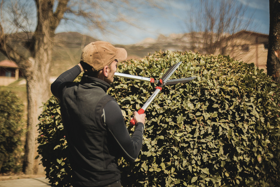 Tijera cortasetos profesional Aluminio 57 cm ALTUNA 30CS-57