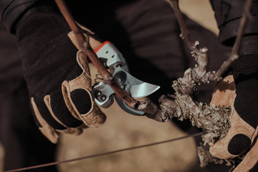 Tijera poda 1 mano Profesional Ergonómica 9000