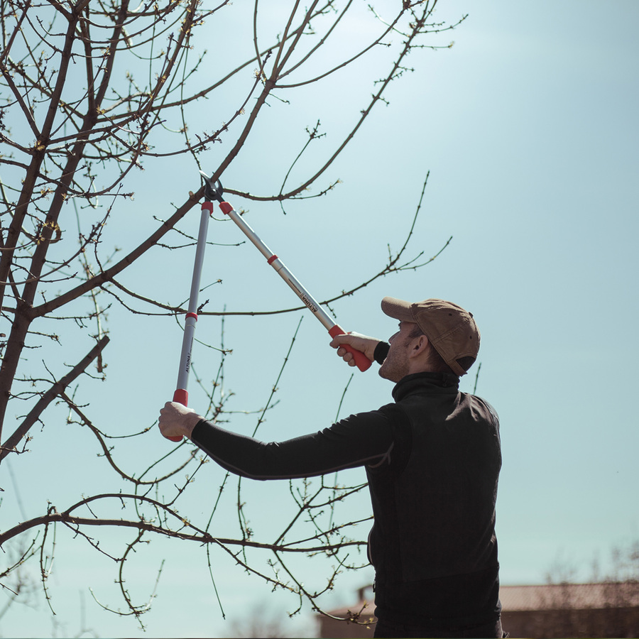 Tijera de poda 2 manos telescópica 0390T