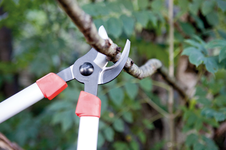 Tijera de poda 2 manos telescópica 0390T