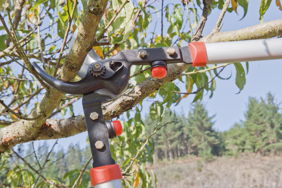 Tijera de poda 2 manos profesional Gran Capacidad de corte 90cm 0340-90