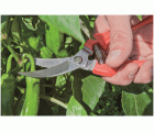 Tijera Altuna de recolección 0842 INOX