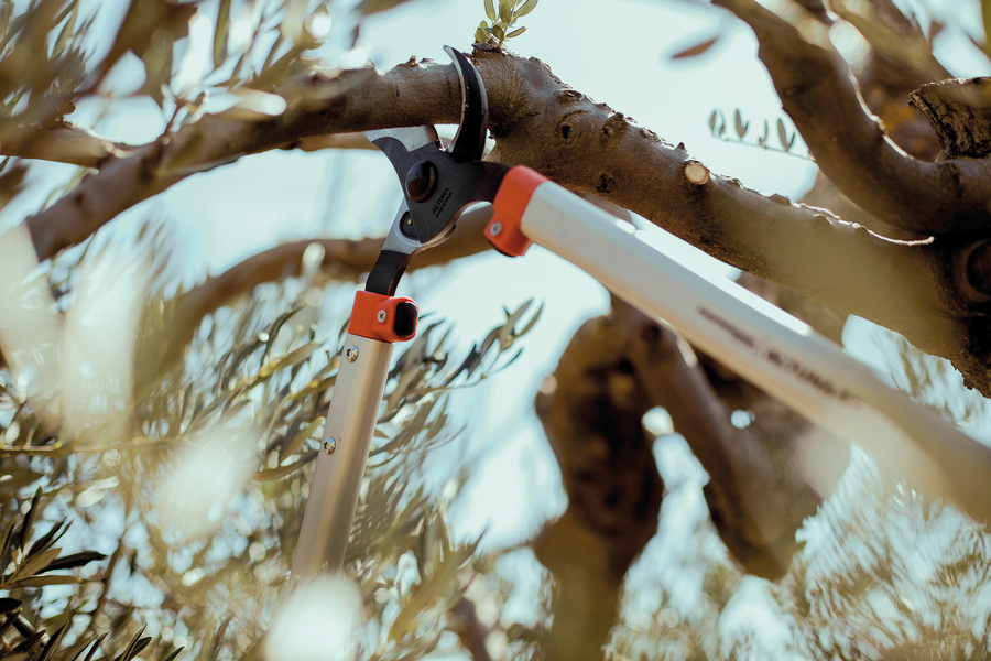 Tijera 2 manos Gran Capacidad corte