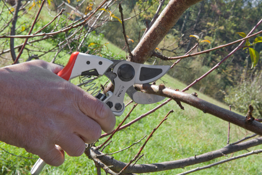 Tijera 1 mano Profesional mango giratorio 9000YG