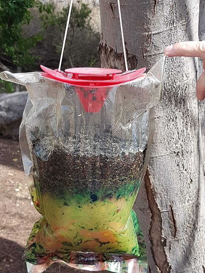 Trampa de plástico para moscas con cebo BI101PC