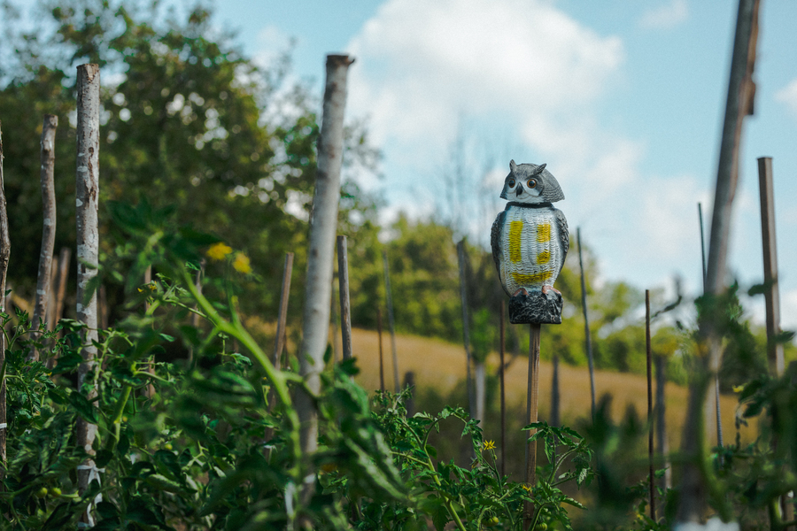 Búho eólico espantapájaros BI965