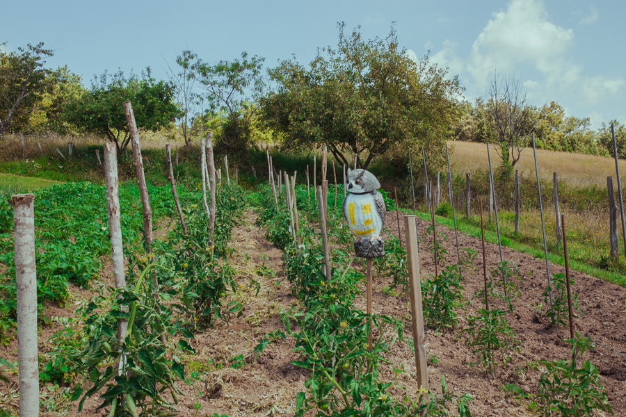 Búho eólico espantapájaros BI965
