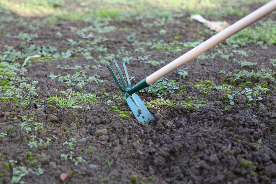 Azuela y tridente con mango de 120cm BI8022M