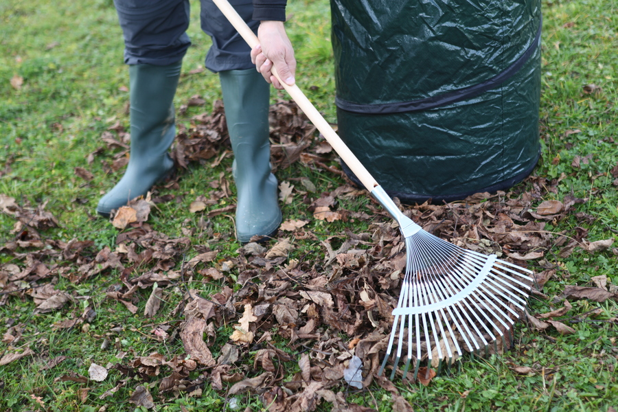 Escoba regulable  de 22 púas con sujección cónica sin mango BI8036
