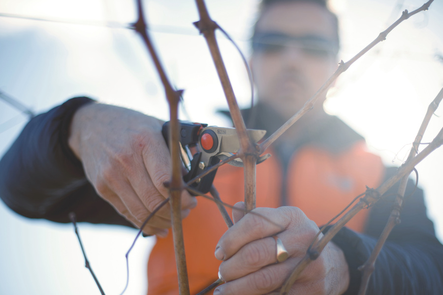 Tijera poda 1 mano fibra de carbono ALTUNA 8000