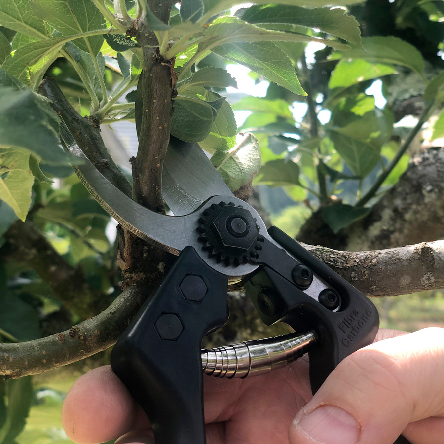 Tijera poda 1 mano fibra de carbono ALTUNA 8000