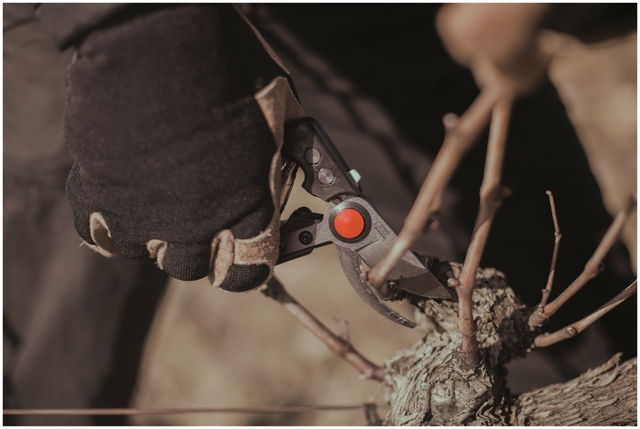 Tijera poda 1 mano fibra de carbono ALTUNA 8000