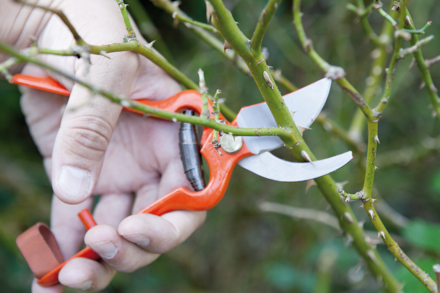 Tijera Altuna de poda 95000