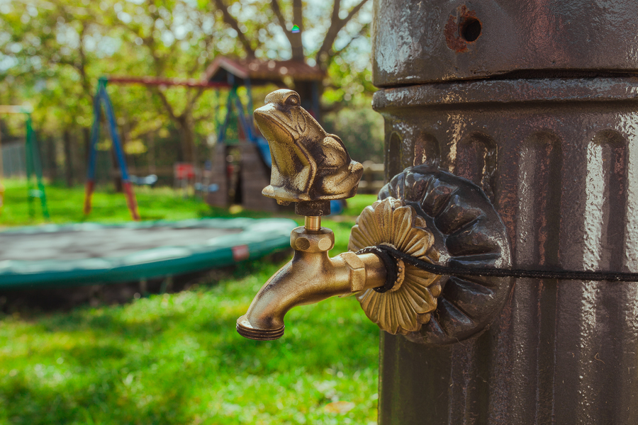 Grifo rana en oro viejo 5964OV