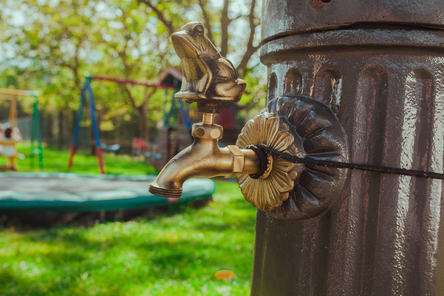 Grifo rana en oro viejo 5964OV