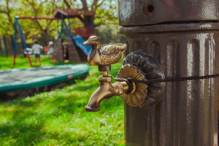 Grifo pato en oro viejo 5967OV