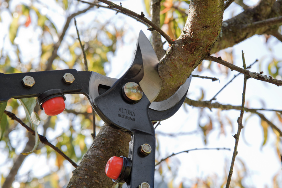 Tijera de poda 2 manos profesional Gran Capacidad de corte 80cm 0340-82