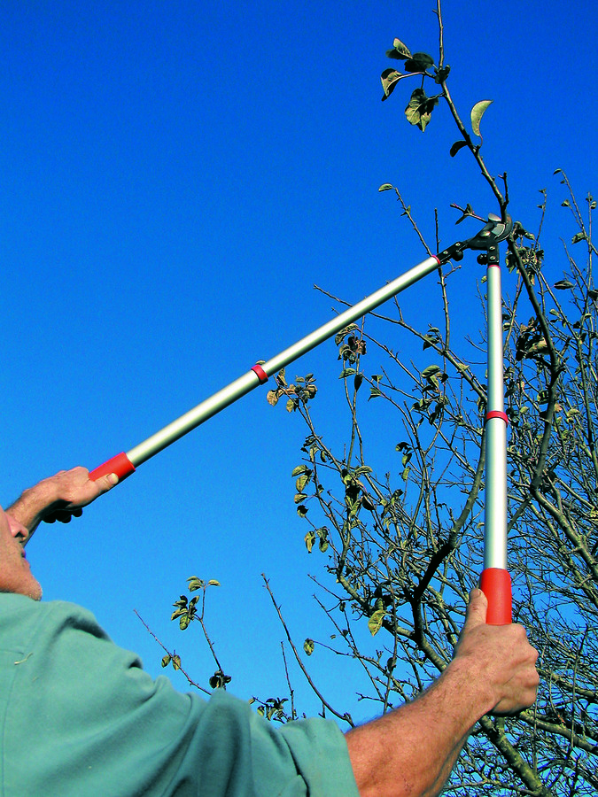 Tijera poda 2 manos telescópica ALTUNA 0345