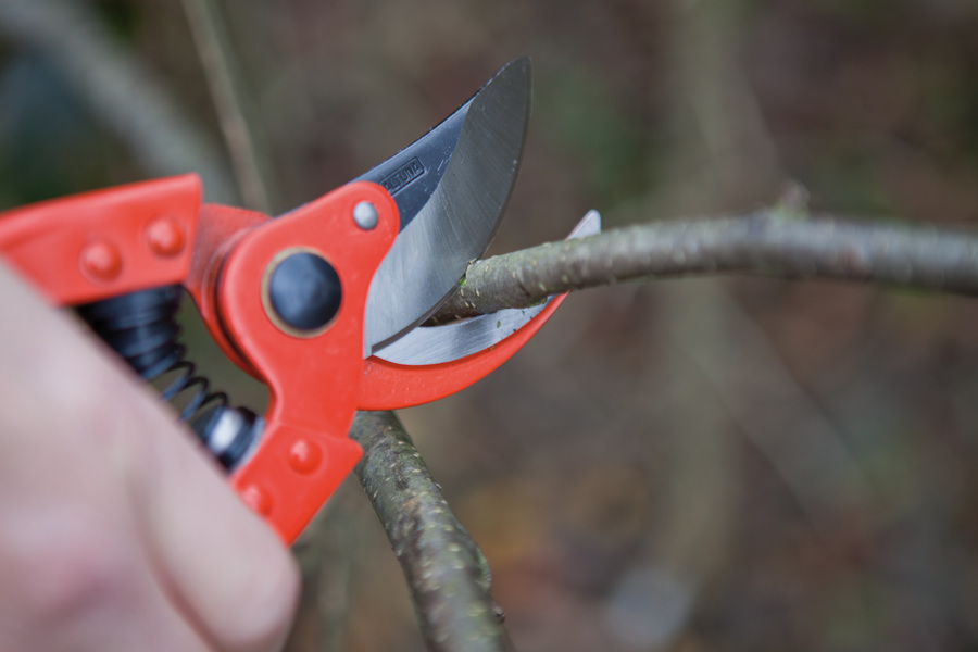 Tijera de poda 1 mano profesional 23cm 4000