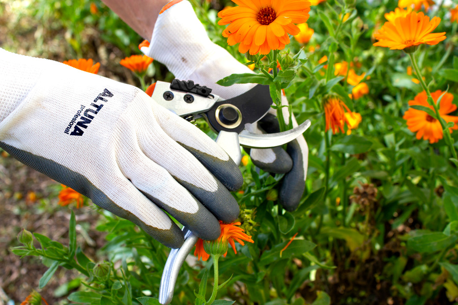 Tijera de poda 1 mano jardín Ergonómica 21 cm J463