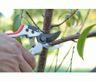 Tijera de poda 1 mano jardín Ergonómica 21 cm J463