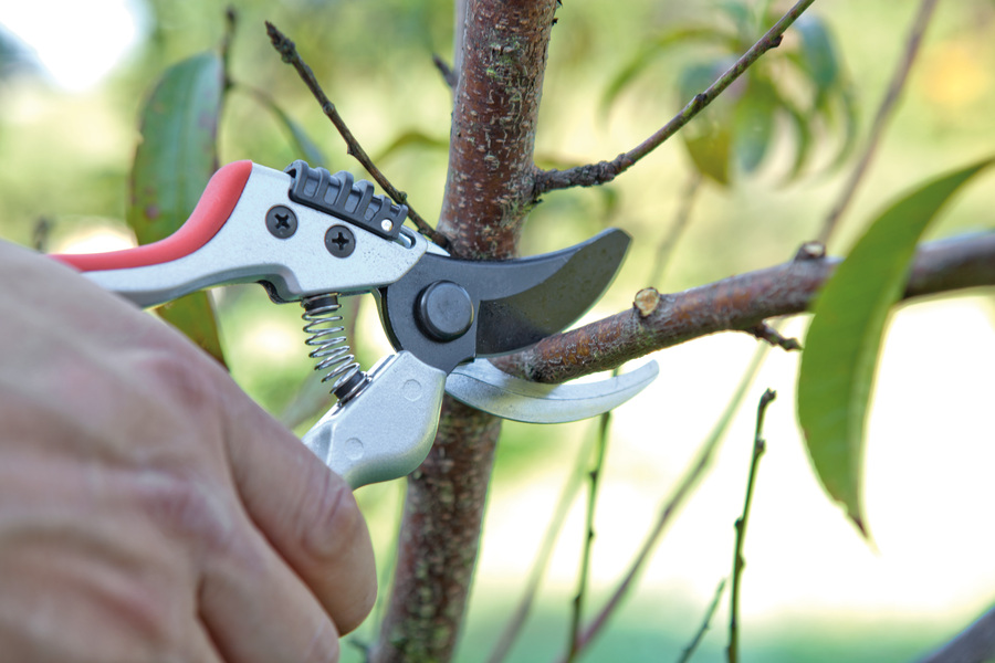 Tijera de poda 1 mano jardín Ergonómica 21 cm J463