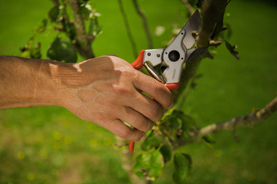 Tijera Altuna de poda J465