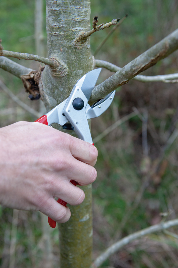 Tijera Altuna de poda J466