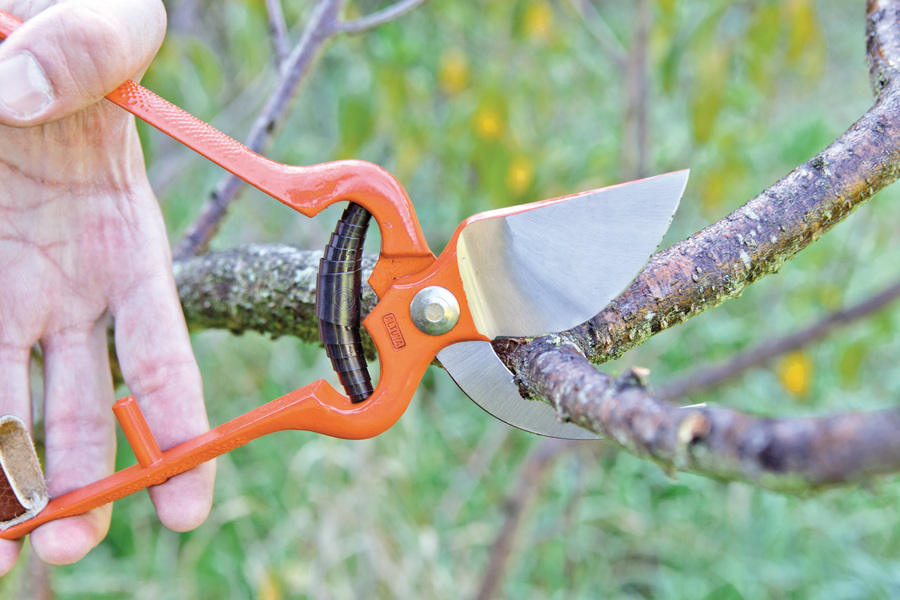 Tijera Altuna de poda 0511-26