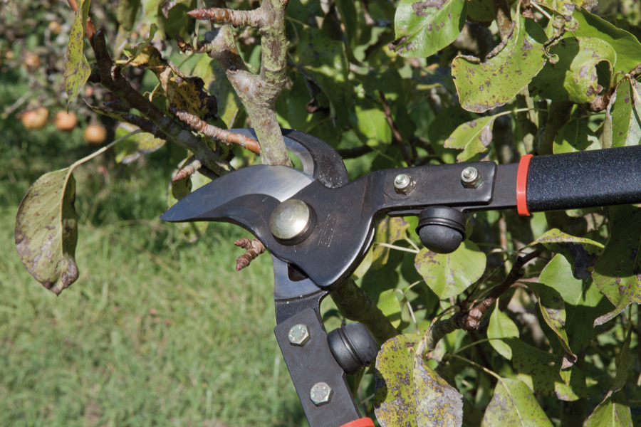 Tijera Altuna de poda 5320-60