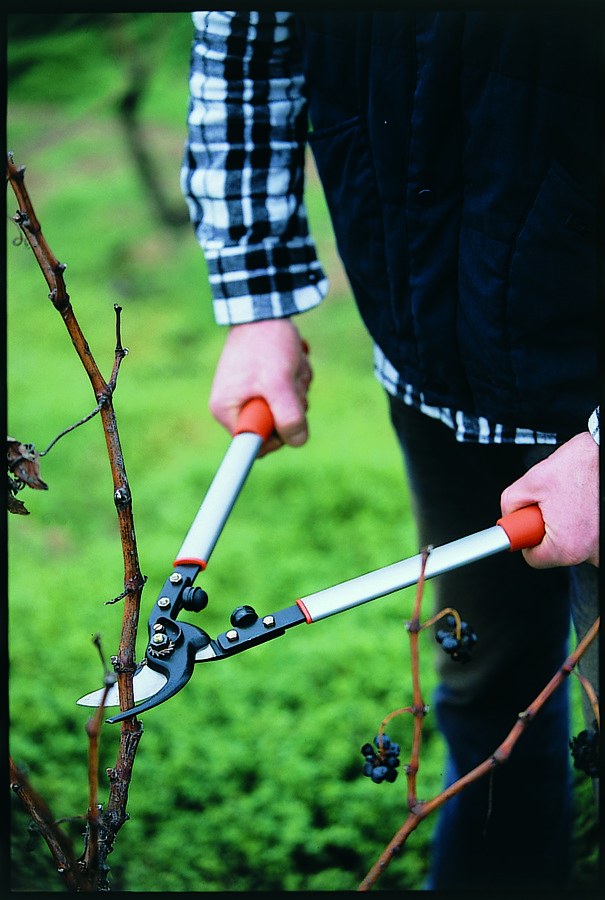 Tijera de poda 2 manos profesional 50 cm 5323-50