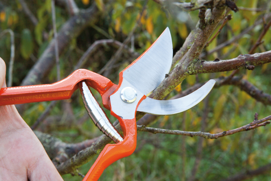 Tijera Altuna de poda 0540-28
