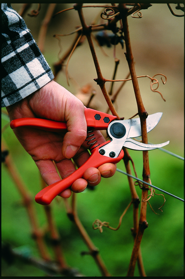 Tijera poda 1 mano Profesional ALTUNA 7000