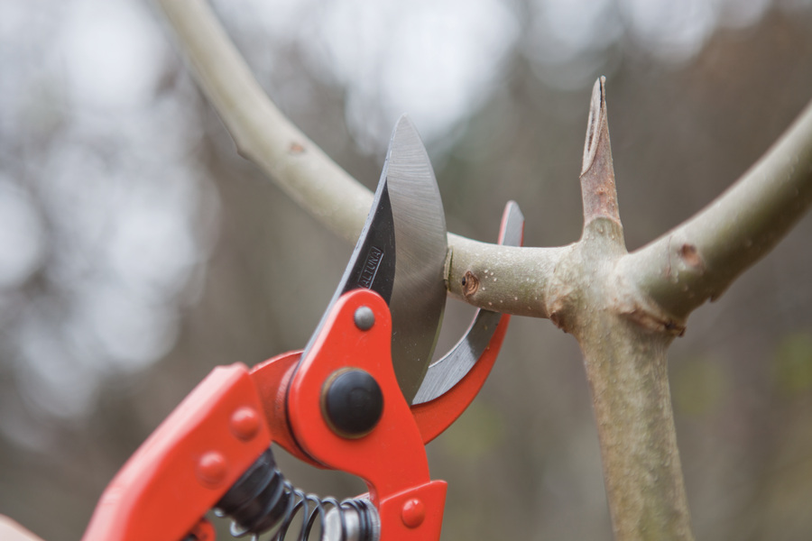 Tijera Altuna de poda 0740-20