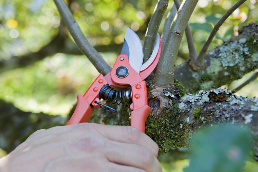 Tijera Altuna de poda 0741-20