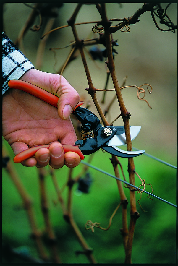 Tijera Altuna de poda 0751-23
