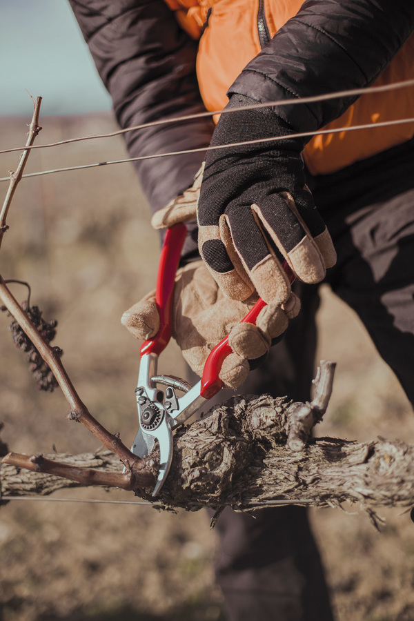 Tijera 1 mano aluminio forjado mango giratorio J468