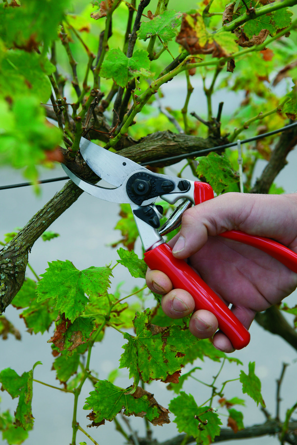 Tijera 1 mano aluminio forjado mango giratorio J468