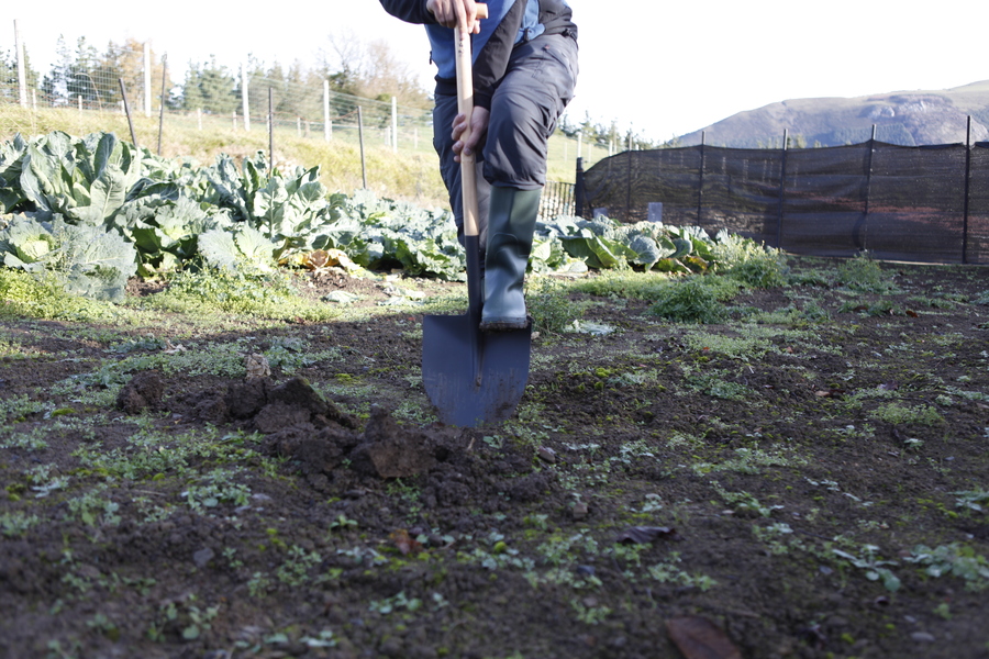 Pala pico con FSC de 285x335mm y mango muleta 8540MM