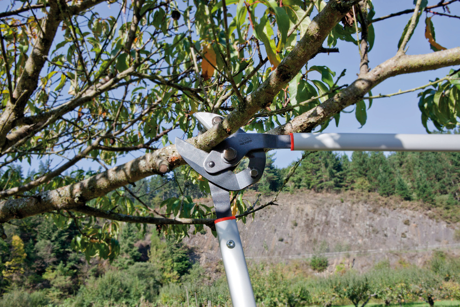Tijera de poda 2 manos corte yunque 0390YT